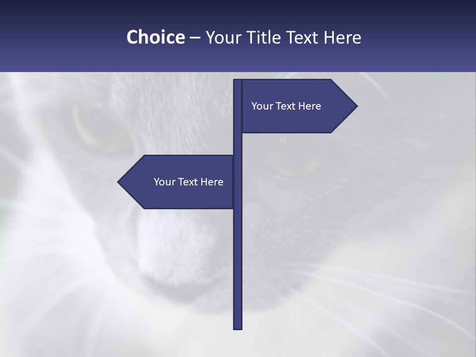 Texture Hair Playful PowerPoint Template