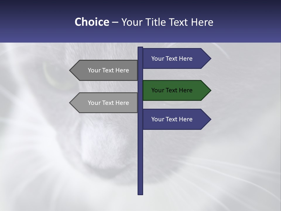 Texture Hair Playful PowerPoint Template