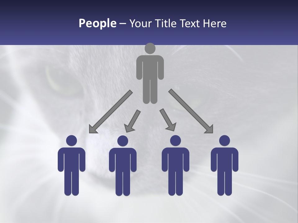 Texture Hair Playful PowerPoint Template