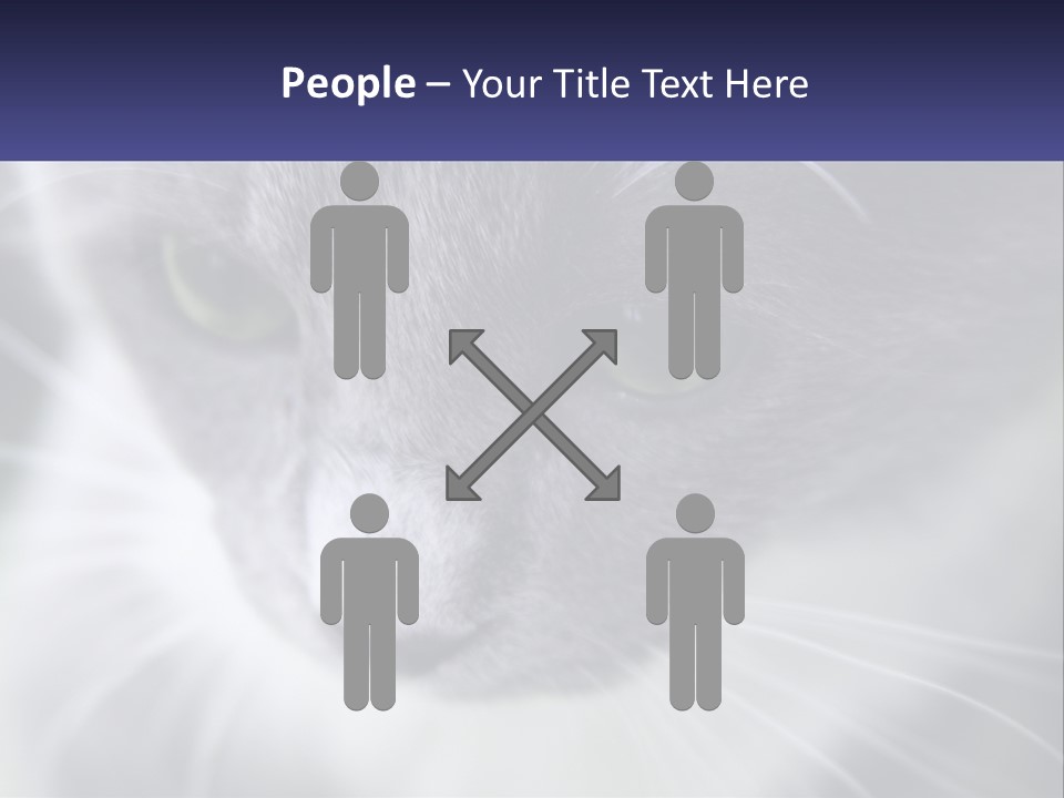 Texture Hair Playful PowerPoint Template