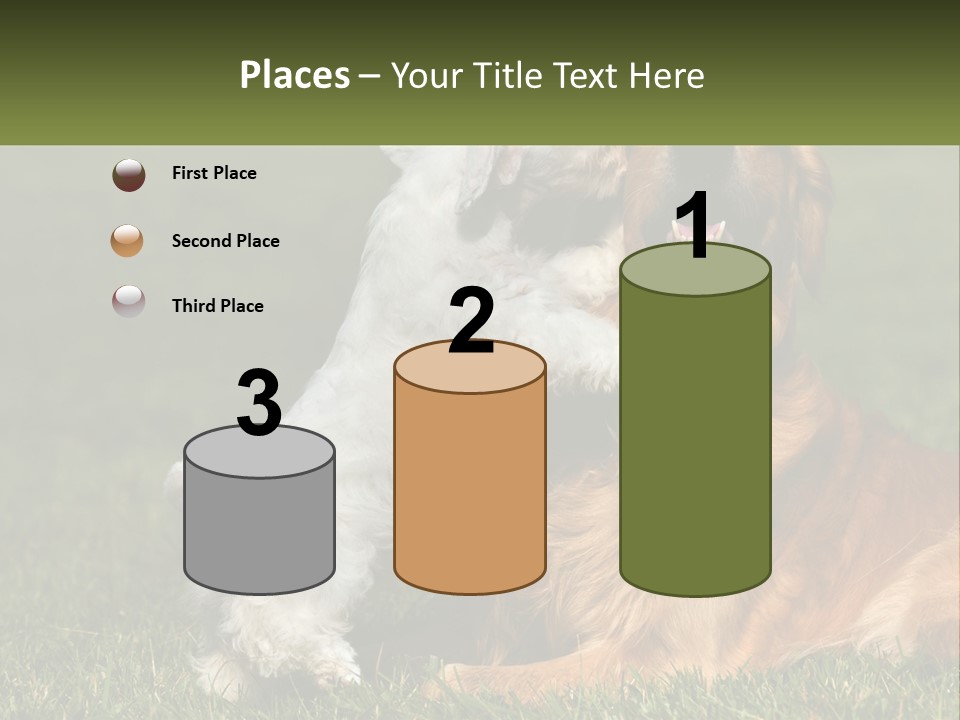 Pedigreed Retriever Flirtation PowerPoint Template