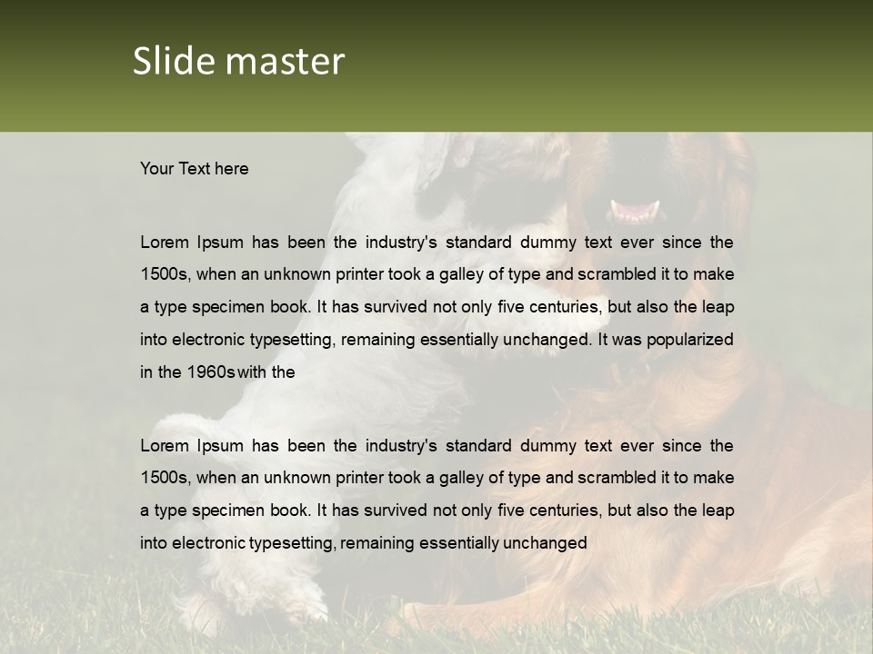 Pedigreed Retriever Flirtation PowerPoint Template