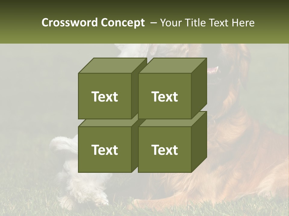 Pedigreed Retriever Flirtation PowerPoint Template