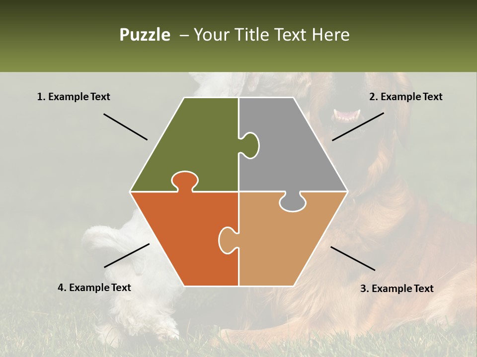 Pedigreed Retriever Flirtation PowerPoint Template