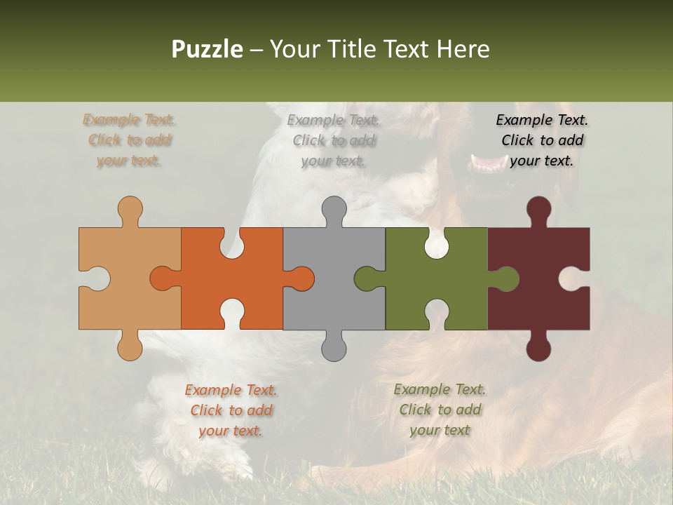 Pedigreed Retriever Flirtation PowerPoint Template