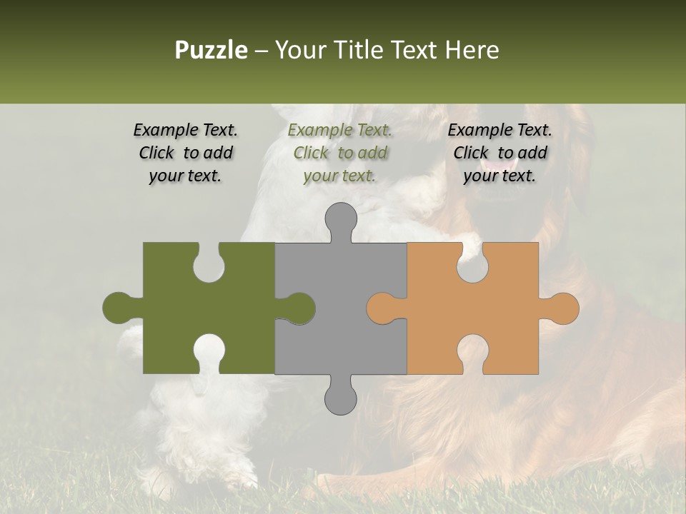 Pedigreed Retriever Flirtation PowerPoint Template