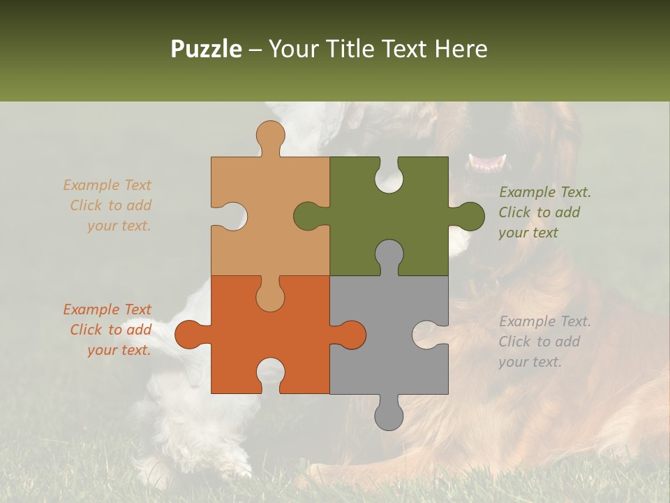 Pedigreed Retriever Flirtation PowerPoint Template