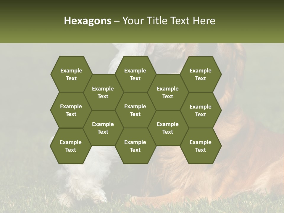 Pedigreed Retriever Flirtation PowerPoint Template