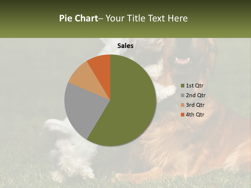 Pedigreed Retriever Flirtation PowerPoint Template