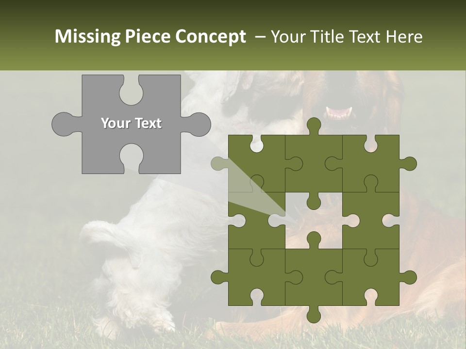 Pedigreed Retriever Flirtation PowerPoint Template