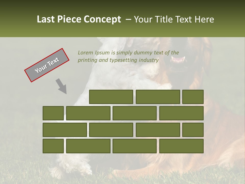 Pedigreed Retriever Flirtation PowerPoint Template