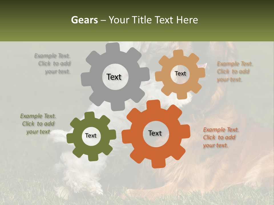 Pedigreed Retriever Flirtation PowerPoint Template