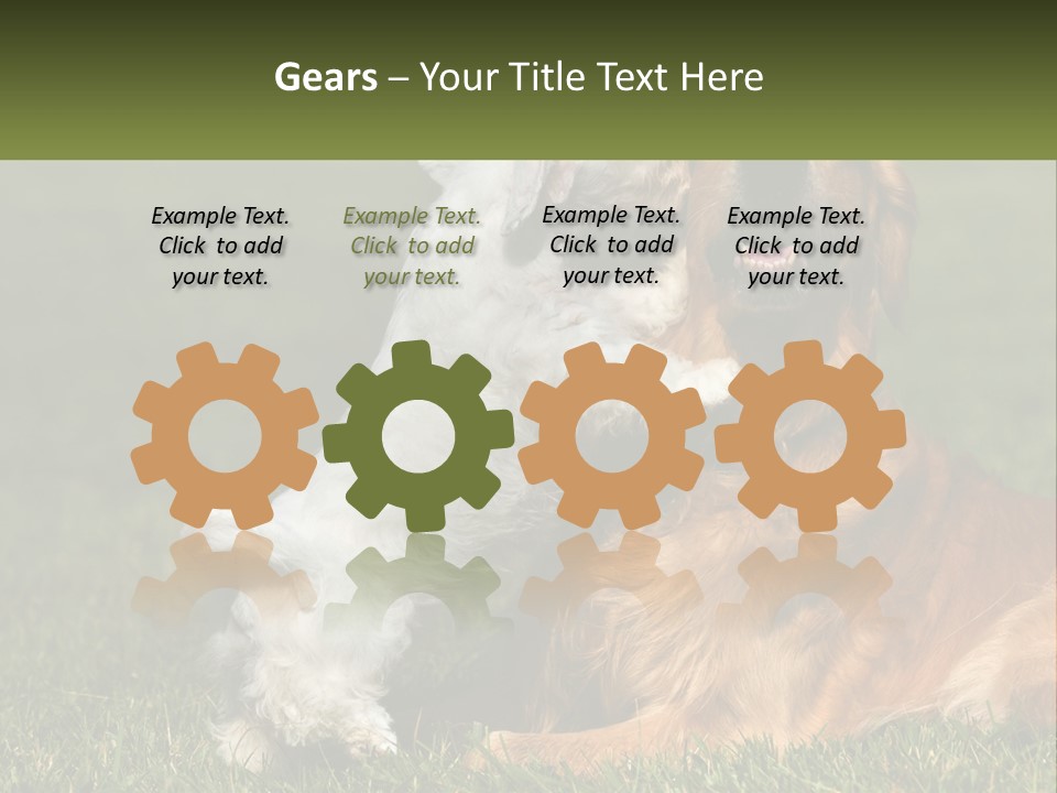 Pedigreed Retriever Flirtation PowerPoint Template