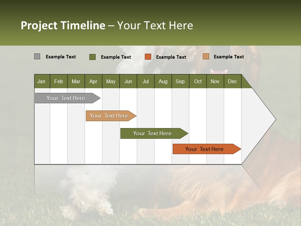 Pedigreed Retriever Flirtation PowerPoint Template