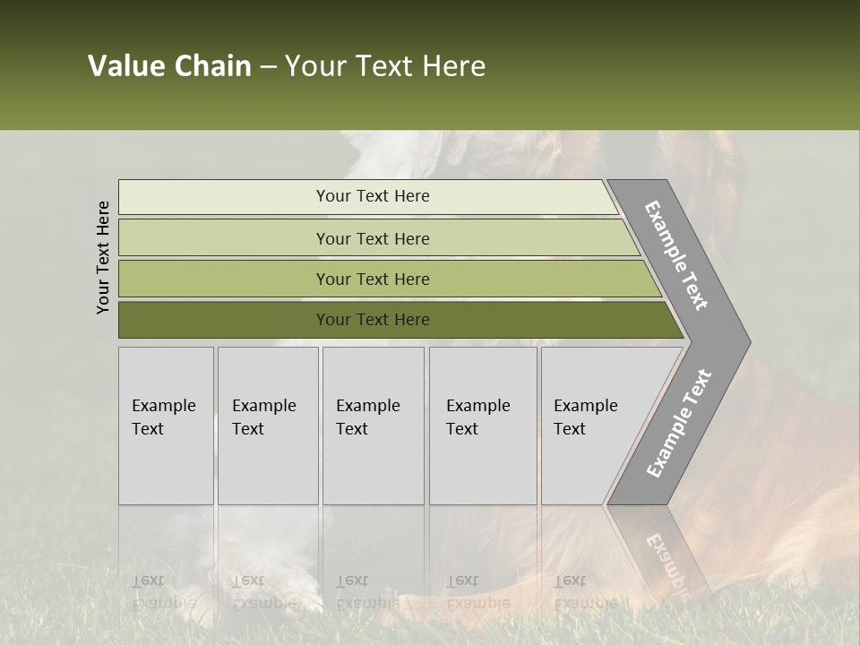Pedigreed Retriever Flirtation PowerPoint Template
