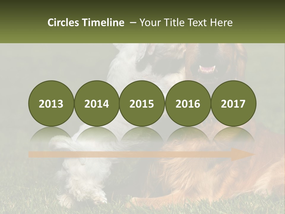 Pedigreed Retriever Flirtation PowerPoint Template