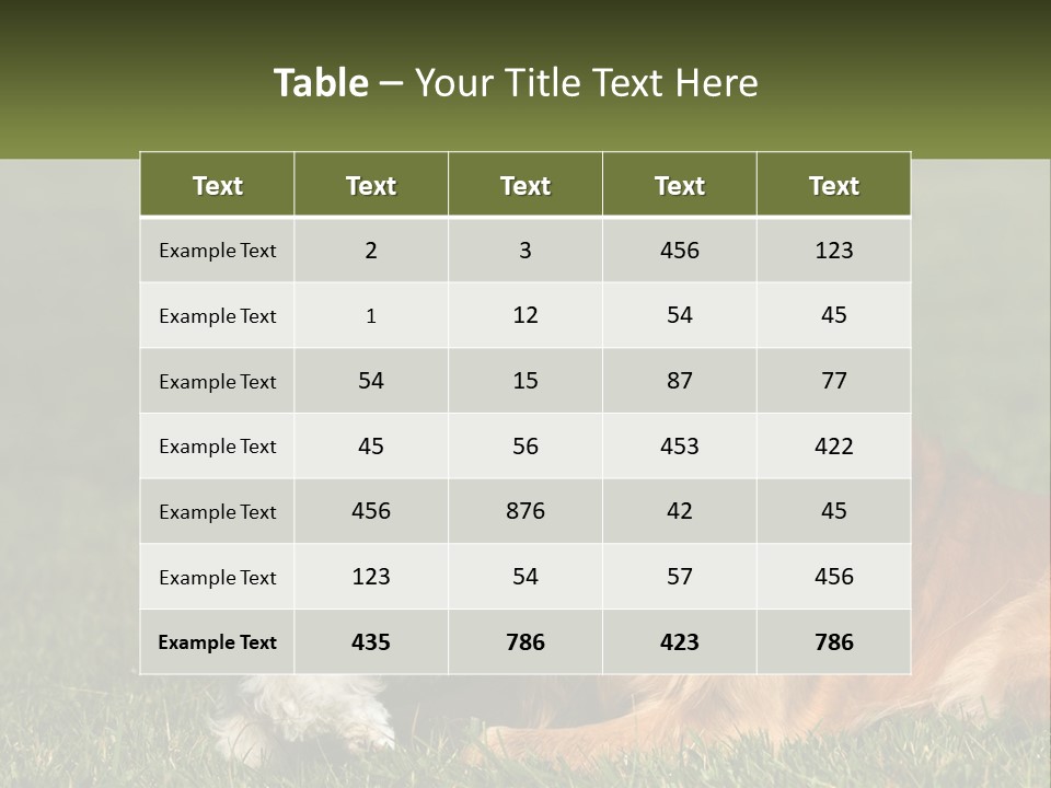 Pedigreed Retriever Flirtation PowerPoint Template