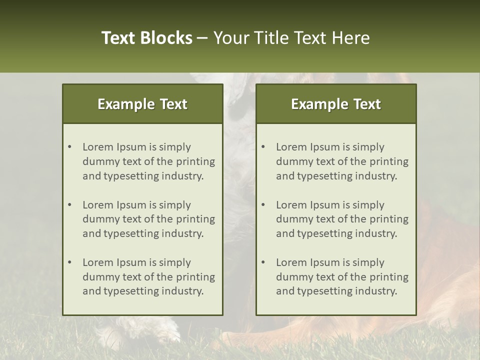 Pedigreed Retriever Flirtation PowerPoint Template