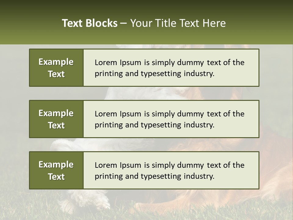 Pedigreed Retriever Flirtation PowerPoint Template