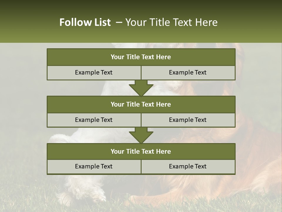 Pedigreed Retriever Flirtation PowerPoint Template