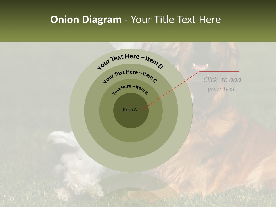 Pedigreed Retriever Flirtation PowerPoint Template