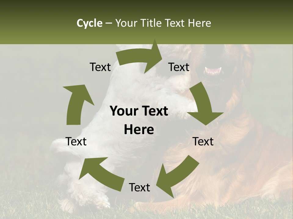 Pedigreed Retriever Flirtation PowerPoint Template