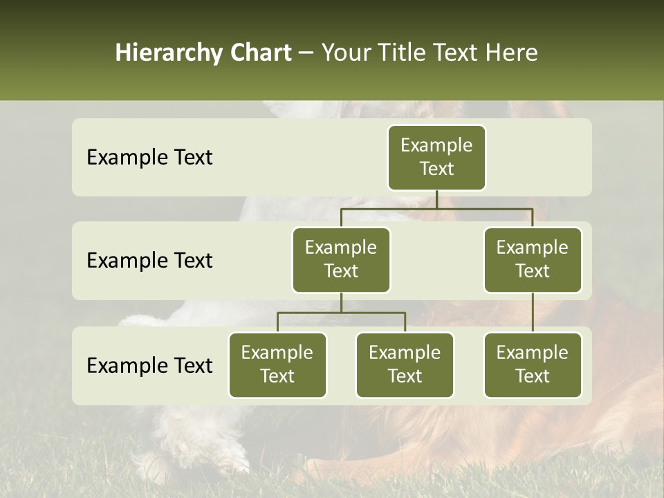 Pedigreed Retriever Flirtation PowerPoint Template