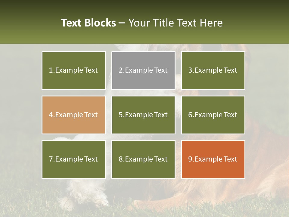 Pedigreed Retriever Flirtation PowerPoint Template