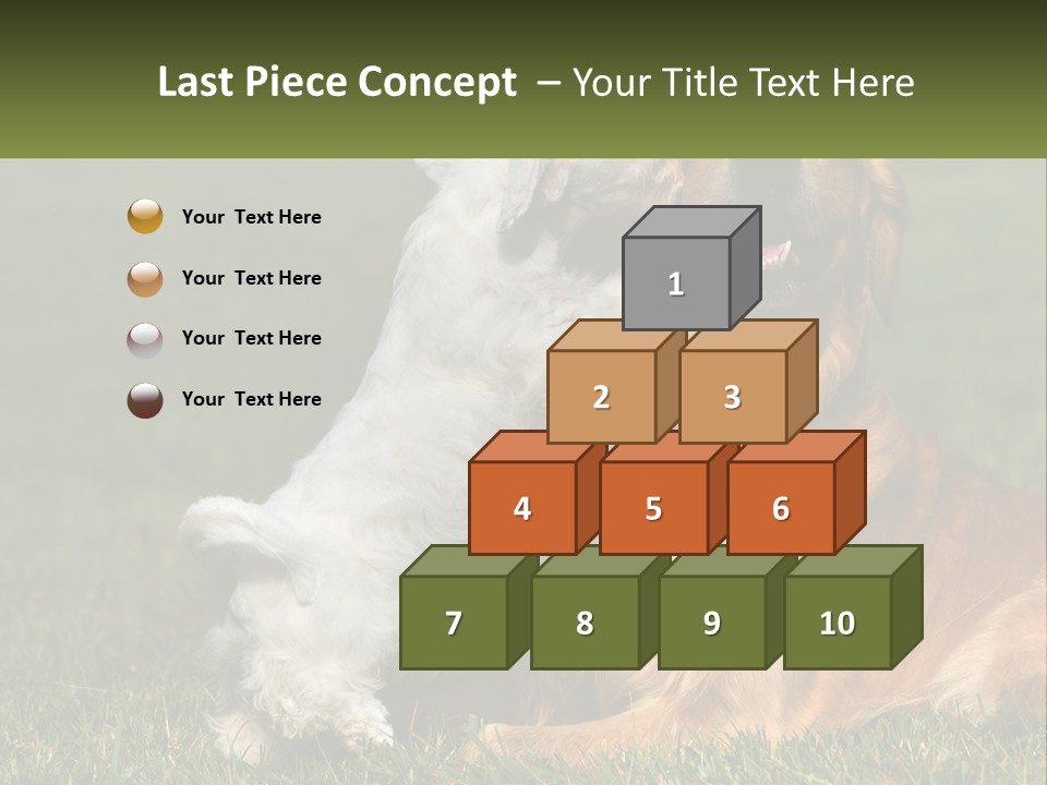 Pedigreed Retriever Flirtation PowerPoint Template