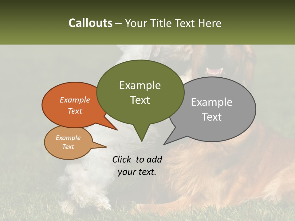 Pedigreed Retriever Flirtation PowerPoint Template