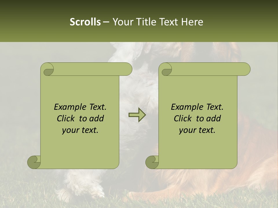 Pedigreed Retriever Flirtation PowerPoint Template