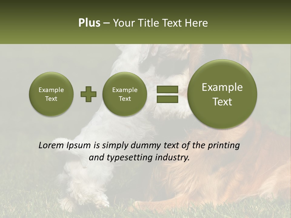 Pedigreed Retriever Flirtation PowerPoint Template