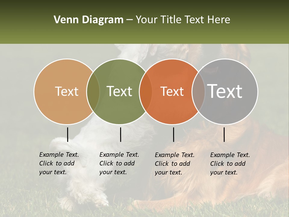 Pedigreed Retriever Flirtation PowerPoint Template