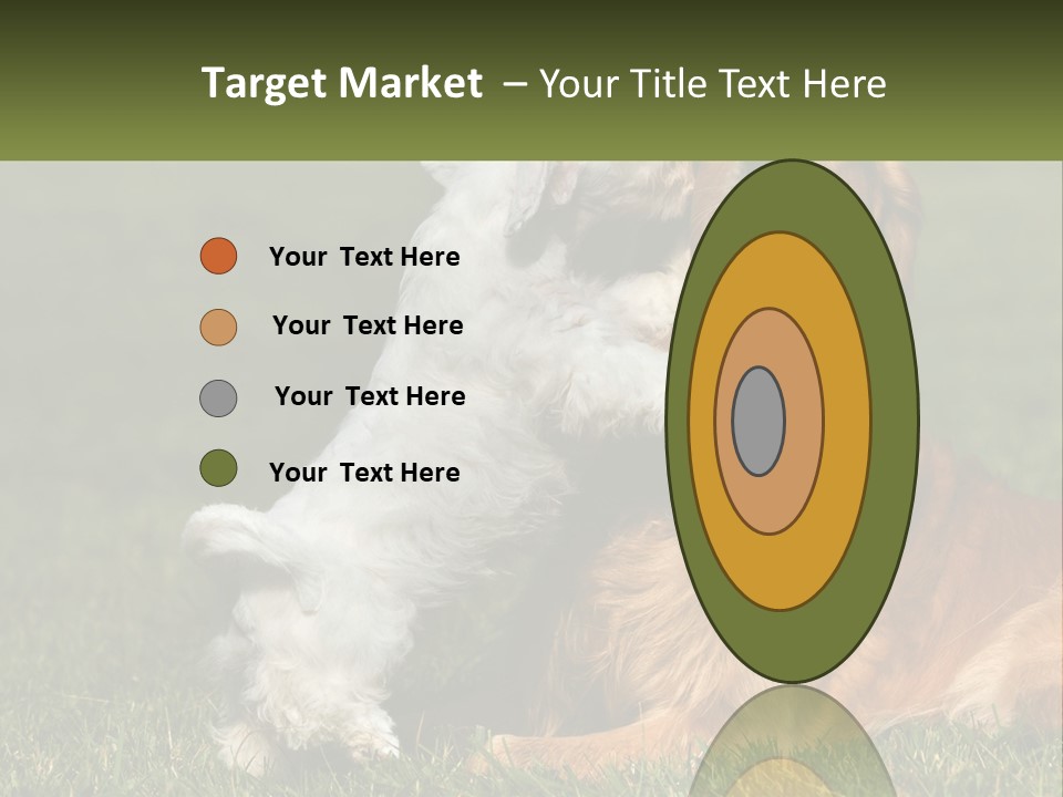 Pedigreed Retriever Flirtation PowerPoint Template