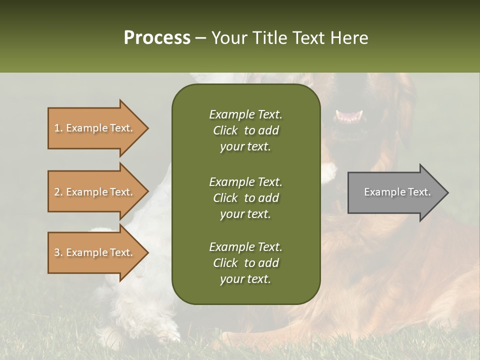 Pedigreed Retriever Flirtation PowerPoint Template