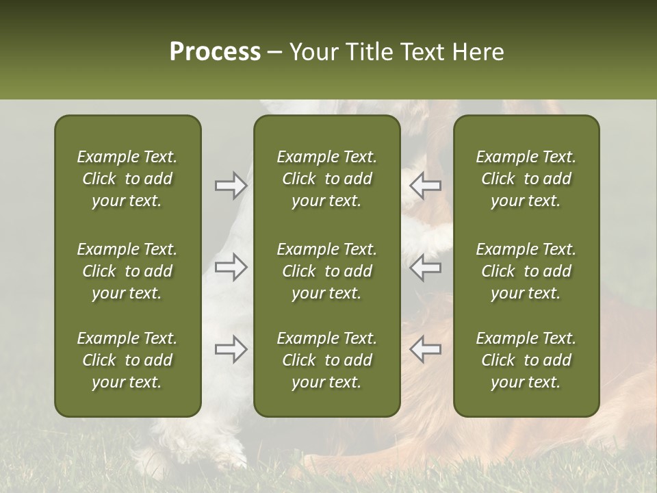 Pedigreed Retriever Flirtation PowerPoint Template