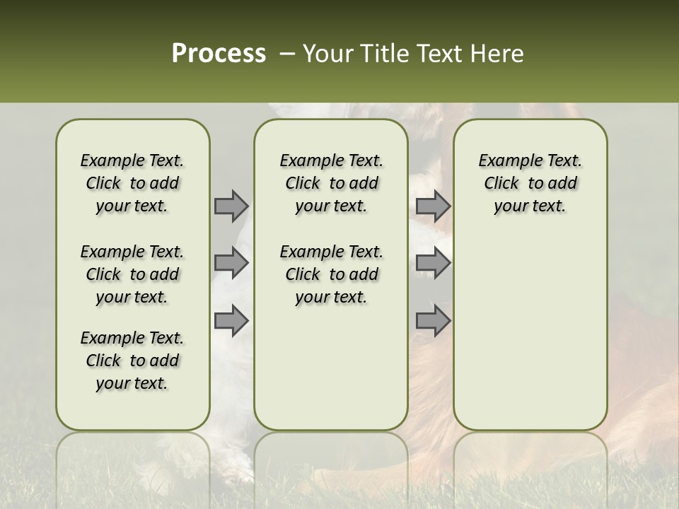 Pedigreed Retriever Flirtation PowerPoint Template