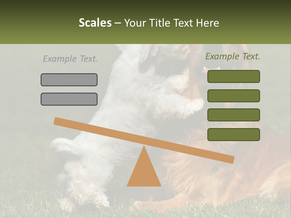 Pedigreed Retriever Flirtation PowerPoint Template