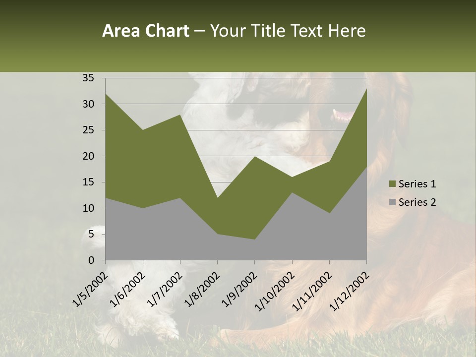 Pedigreed Retriever Flirtation PowerPoint Template