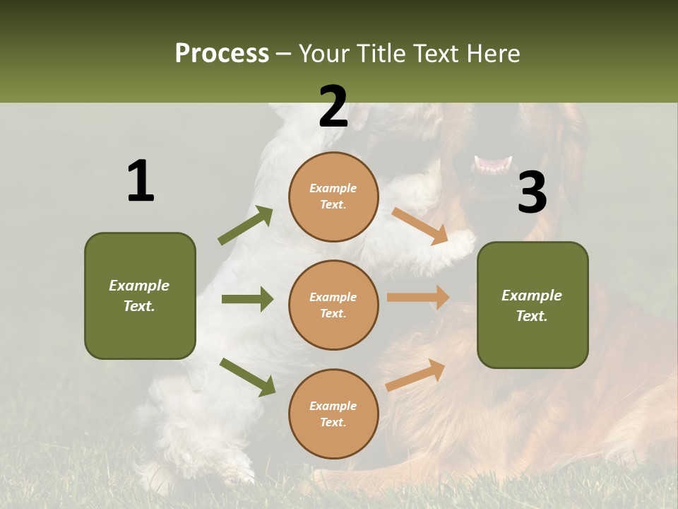 Pedigreed Retriever Flirtation PowerPoint Template