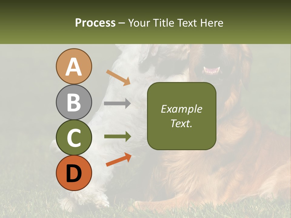 Pedigreed Retriever Flirtation PowerPoint Template