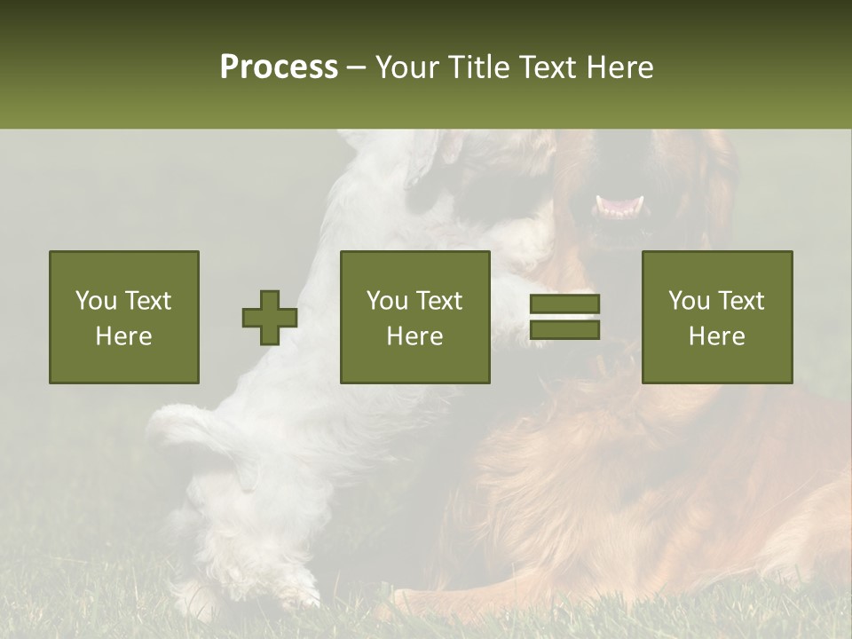 Pedigreed Retriever Flirtation PowerPoint Template