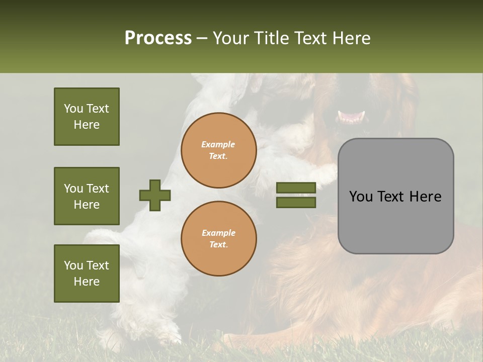Pedigreed Retriever Flirtation PowerPoint Template