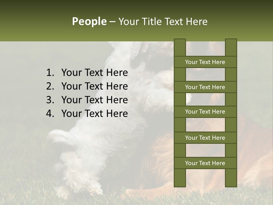 Pedigreed Retriever Flirtation PowerPoint Template