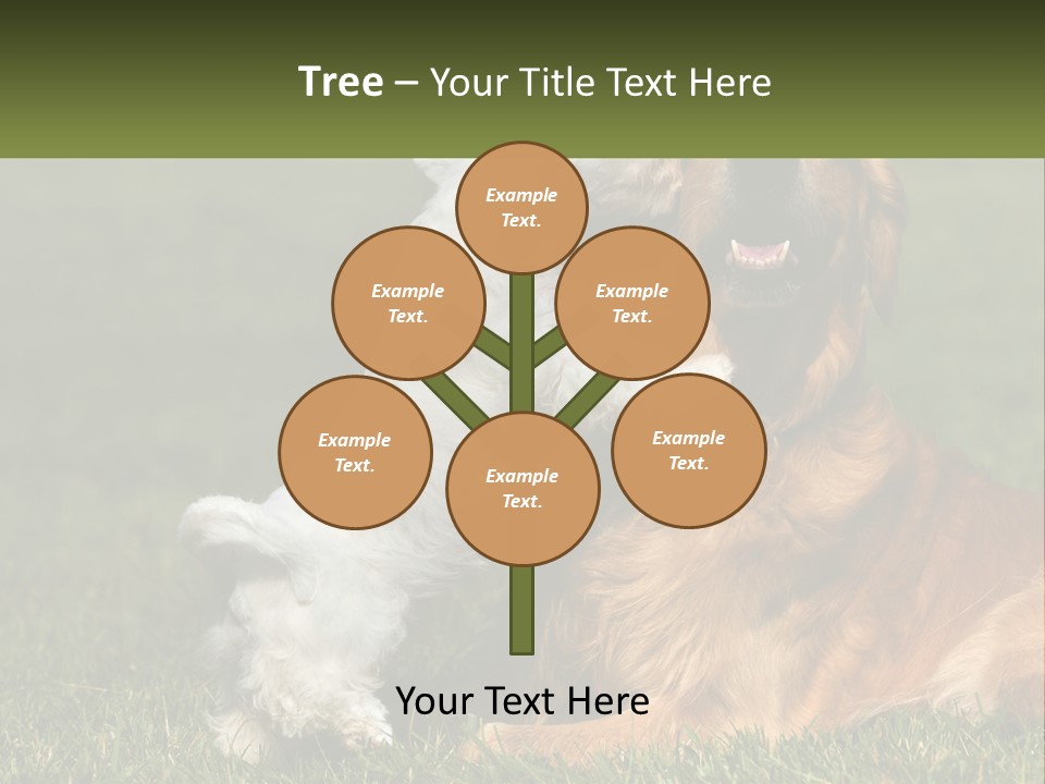 Pedigreed Retriever Flirtation PowerPoint Template