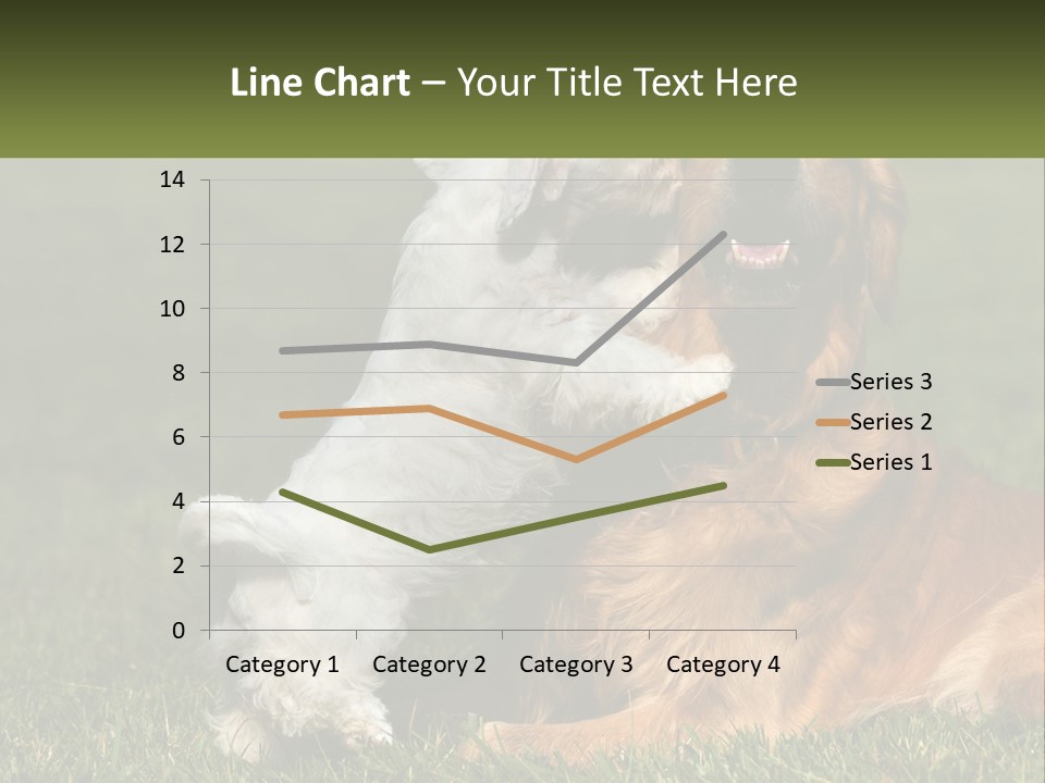 Pedigreed Retriever Flirtation PowerPoint Template