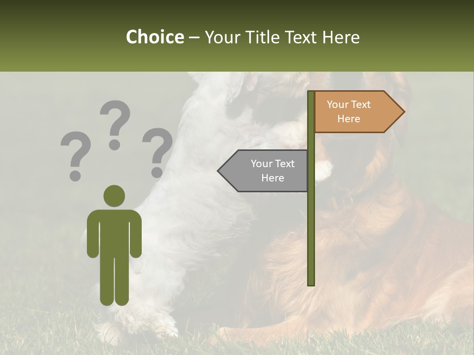 Pedigreed Retriever Flirtation PowerPoint Template