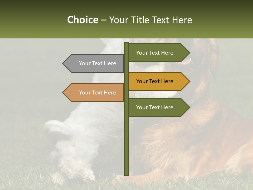 Pedigreed Retriever Flirtation PowerPoint Template