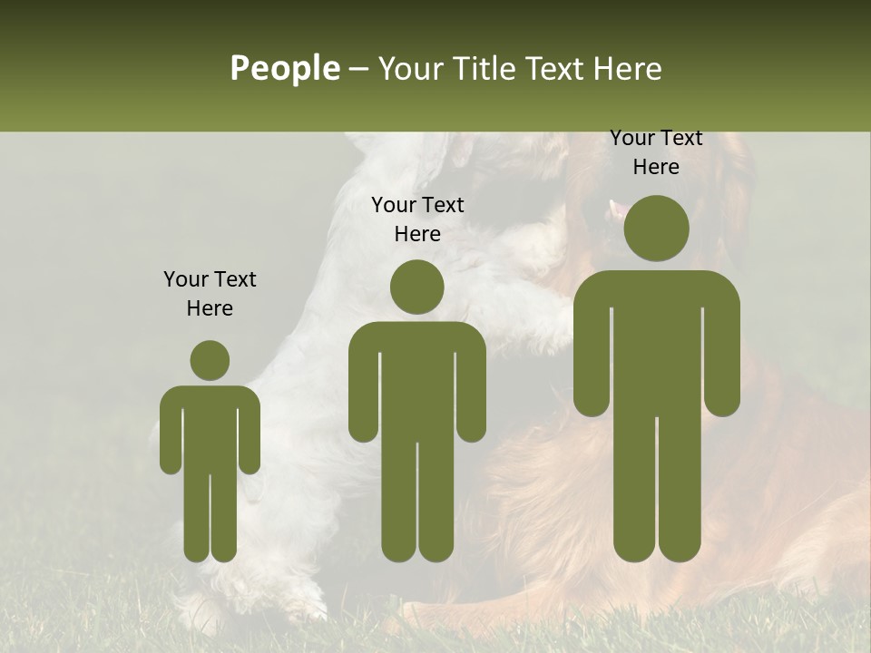 Pedigreed Retriever Flirtation PowerPoint Template