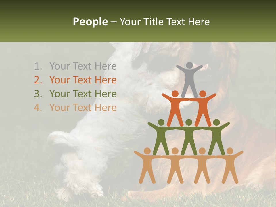 Pedigreed Retriever Flirtation PowerPoint Template